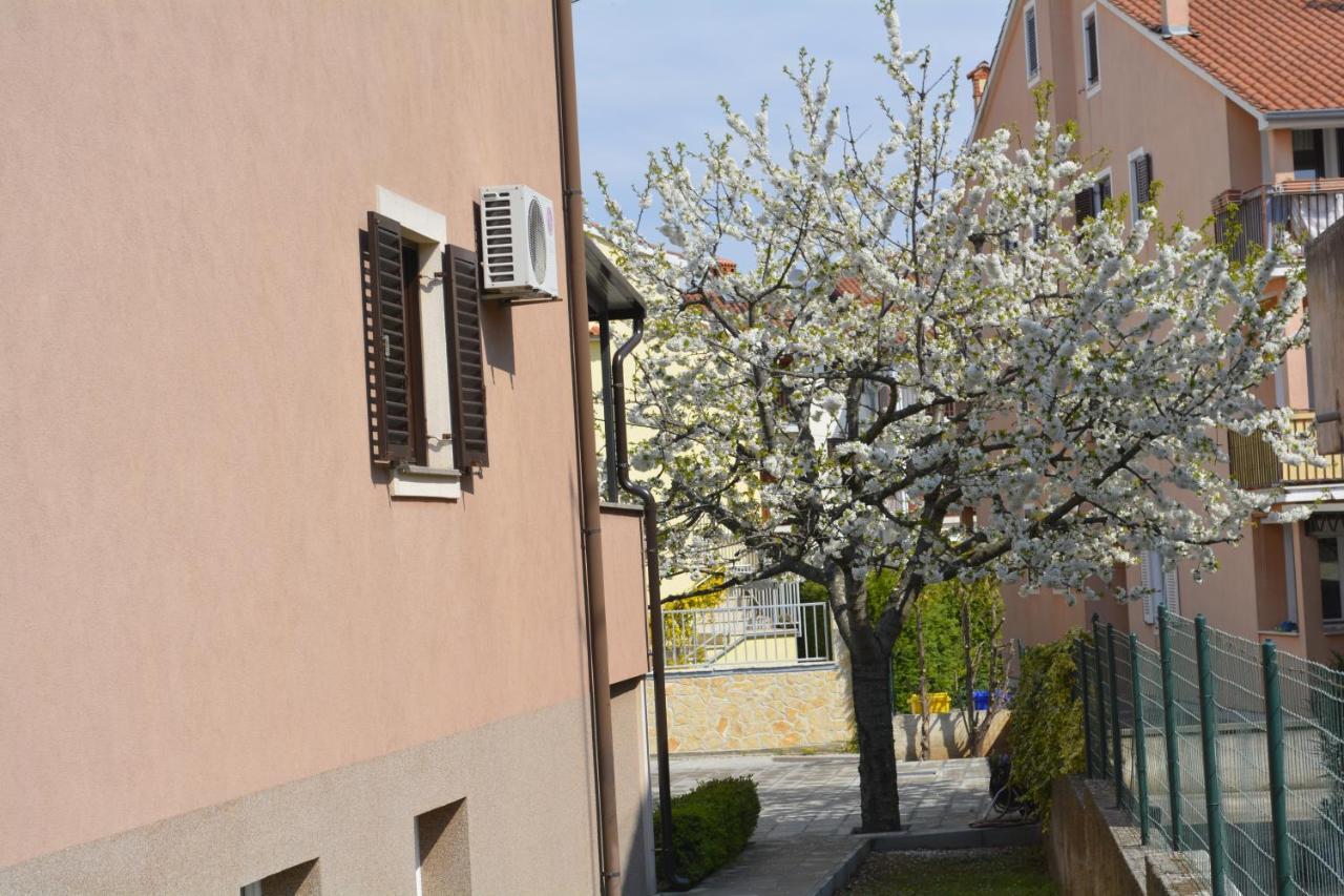 Apartments Denis & Lucija Rovinj Exteriér fotografie